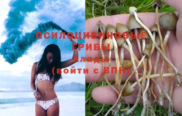 ГАЛЛЮЦИНОГЕННЫЕ ГРИБЫ Богородицк