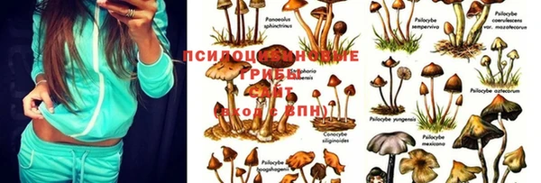 героин Бронницы