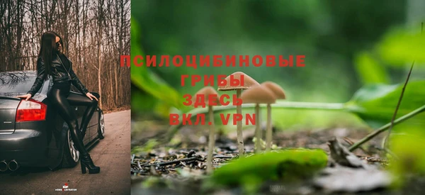 мдма Богородск