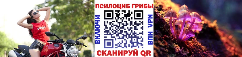 Купить закладки  Тотьма  Псилоцибиновые грибы MAGIC MUSHROOMS 